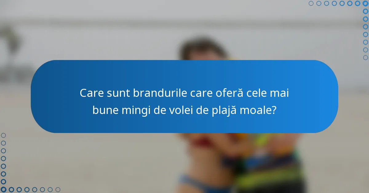 Care sunt brandurile care oferă cele mai bune mingi de volei de plajă moale?
