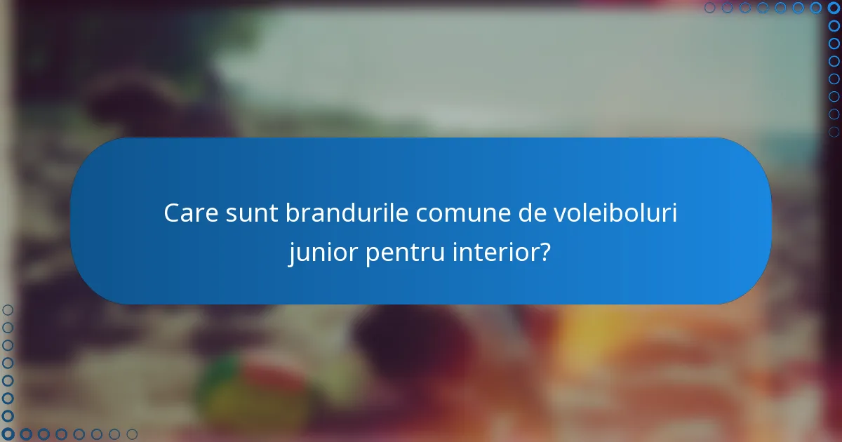 Care sunt brandurile comune de voleiboluri junior pentru interior?