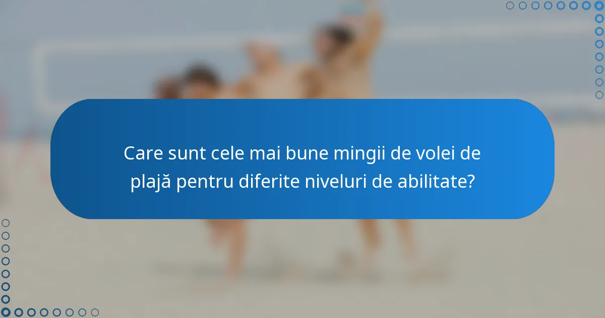 Care sunt cele mai bune mingii de volei de plajă pentru diferite niveluri de abilitate?