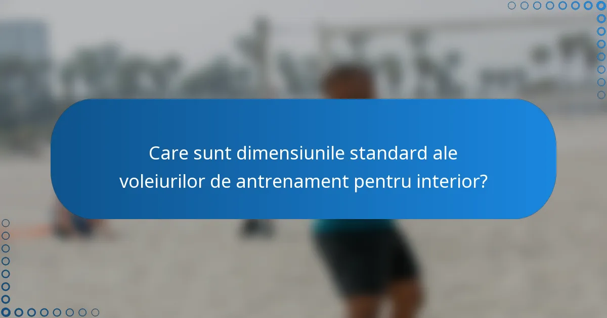 Care sunt dimensiunile standard ale voleiurilor de antrenament pentru interior?