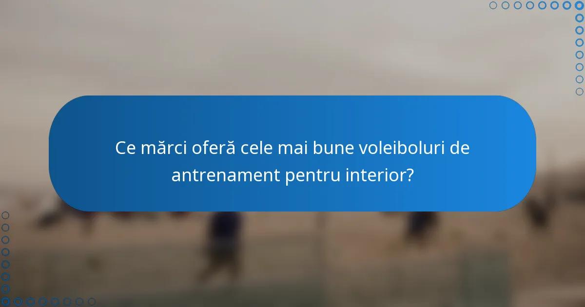 Ce mărci oferă cele mai bune voleiboluri de antrenament pentru interior?