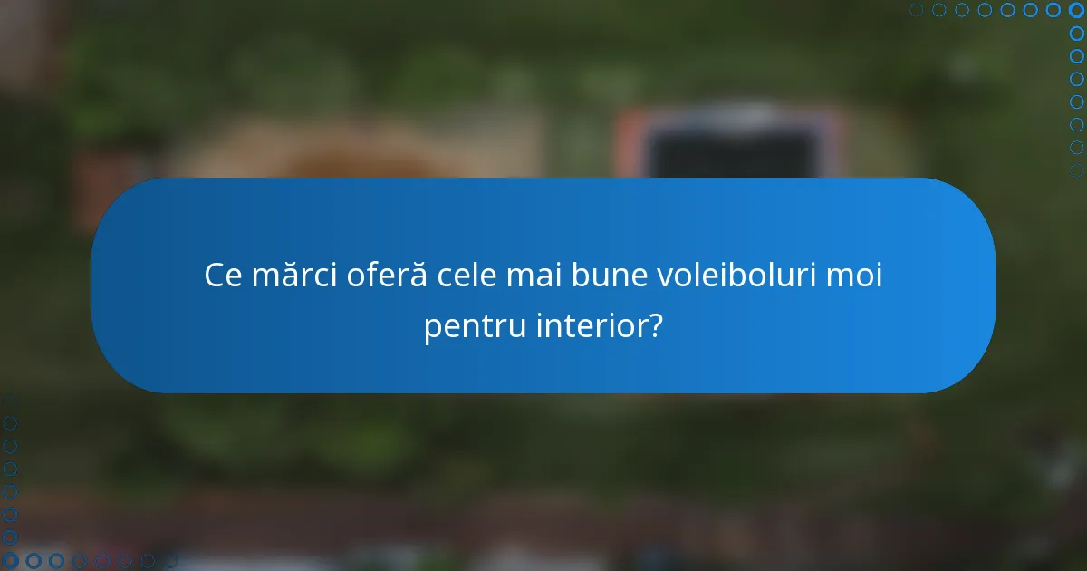 Ce mărci oferă cele mai bune voleiboluri moi pentru interior?