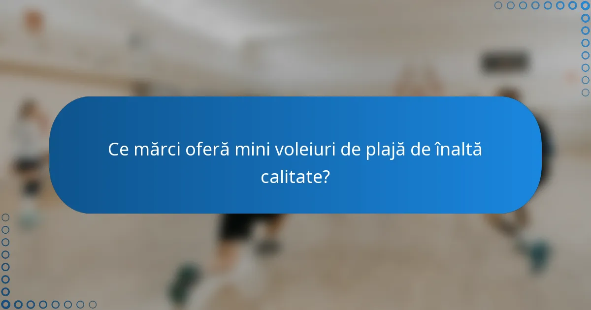 Ce mărci oferă mini voleiuri de plajă de înaltă calitate?