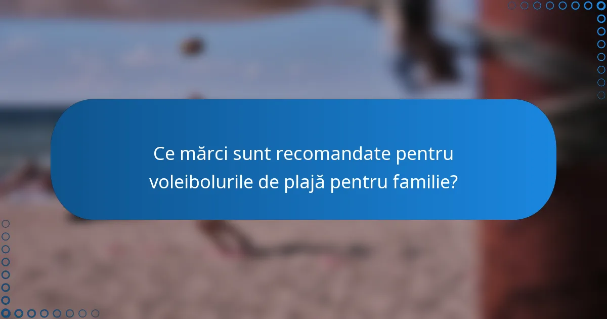 Ce mărci sunt recomandate pentru voleibolurile de plajă pentru familie?