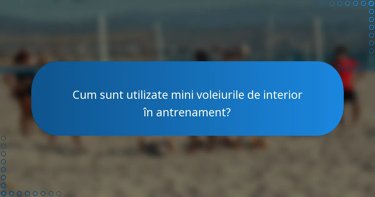 Cum sunt utilizate mini voleiurile de interior în antrenament?